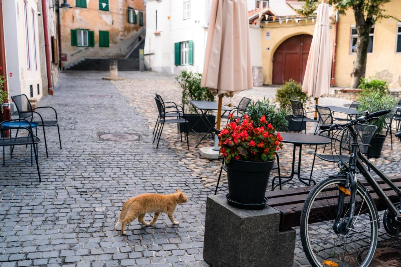 Charming Studio Ideal For Getaways Or Workations In Sibiu'S Medieval City Center المظهر الخارجي الصورة